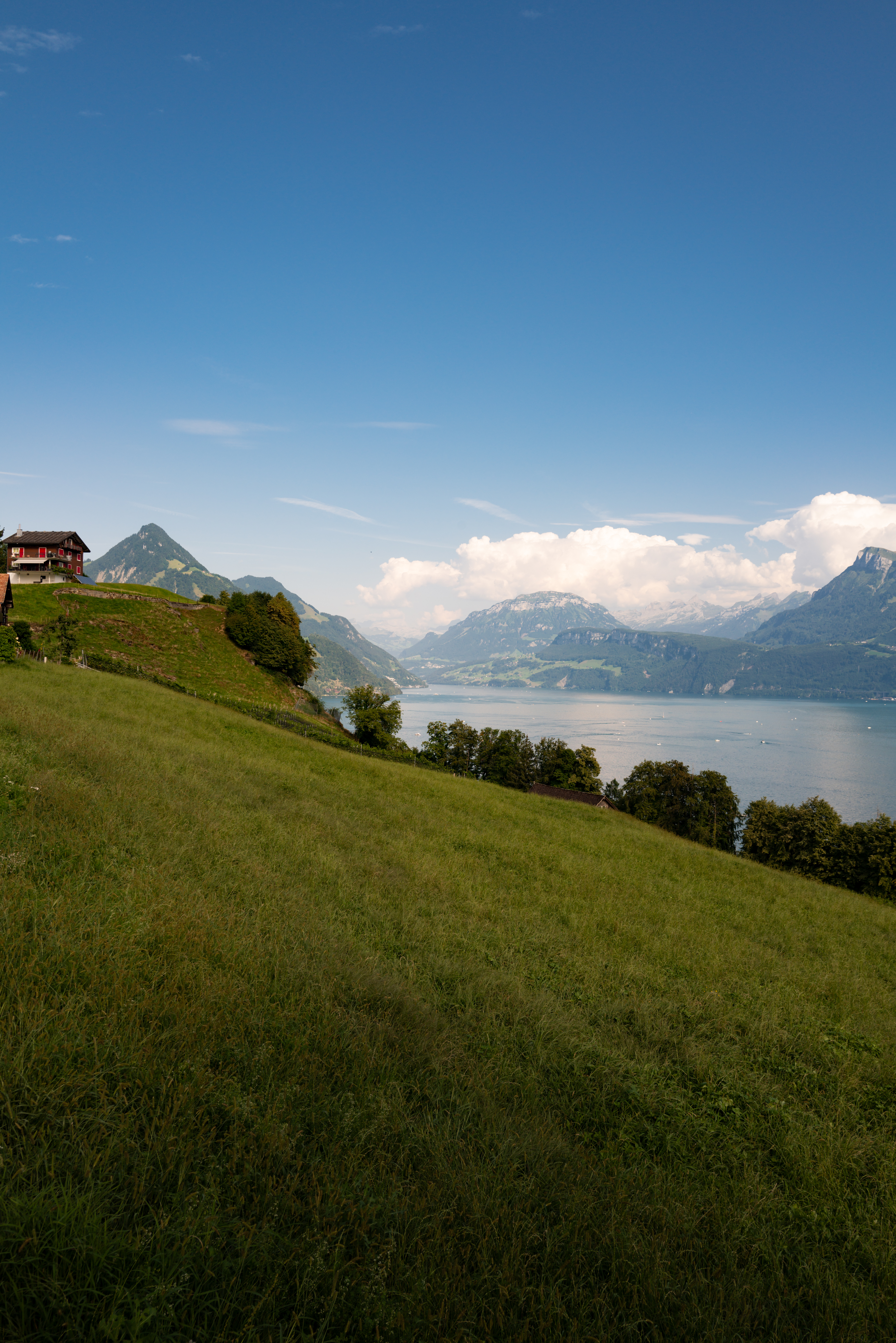 Alpine mountains and like. Panoramic of the nature of Switzerland. Nature of Swiss. Switzerland scenic landscape. Hiking in the Swiss Alps, hiking trail in Switzerland